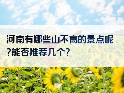 河南有哪些山不高的景点呢？能否推荐几个？