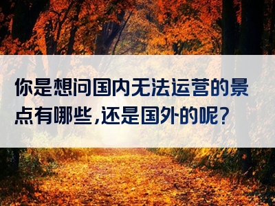 你是想问国内无法运营的景点有哪些，还是国外的呢？