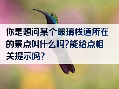 你是想问某个玻璃栈道所在的景点叫什么吗？能给点相关提示吗？