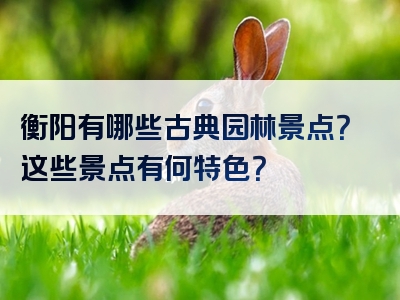 衡阳有哪些古典园林景点？这些景点有何特色？