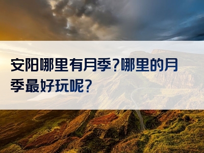 安阳哪里有月季？哪里的月季最好玩呢？