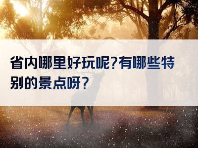 省内哪里好玩呢？有哪些特别的景点呀？
