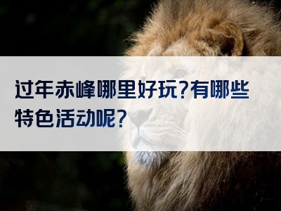 过年赤峰哪里好玩？有哪些特色活动呢？