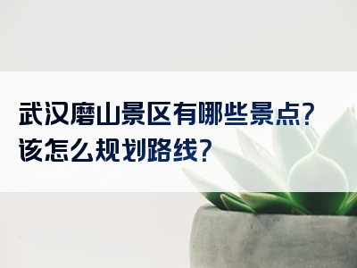 武汉磨山景区有哪些景点？该怎么规划路线？