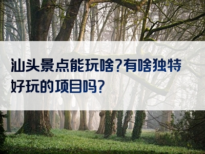 汕头景点能玩啥？有啥独特好玩的项目吗？