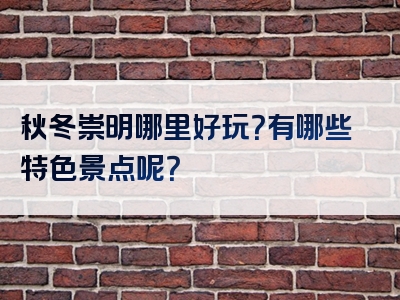 秋冬崇明哪里好玩？有哪些特色景点呢？