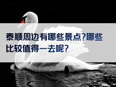 泰顺周边有哪些景点？哪些比较值得一去呢？