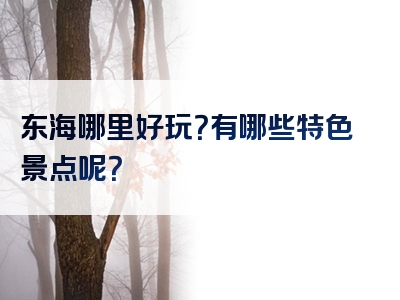 东海哪里好玩？有哪些特色景点呢？