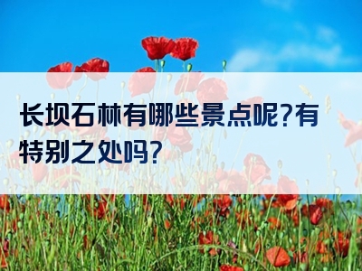 长坝石林有哪些景点呢？有特别之处吗？