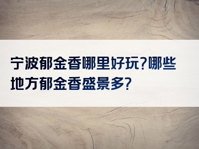 宁波郁金香哪里好玩？哪些地方郁金香盛景多？