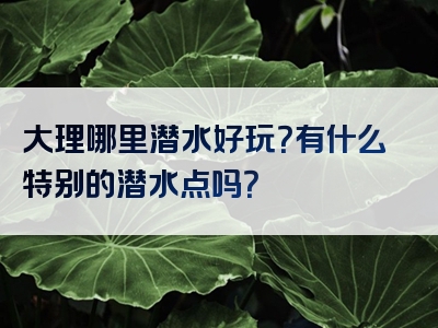 大理哪里潜水好玩？有什么特别的潜水点吗？