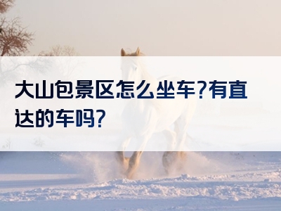 大山包景区怎么坐车？有直达的车吗？