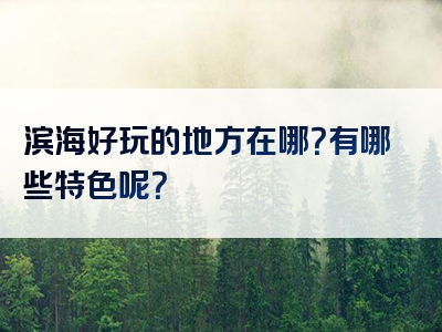 滨海好玩的地方在哪？有哪些特色呢？