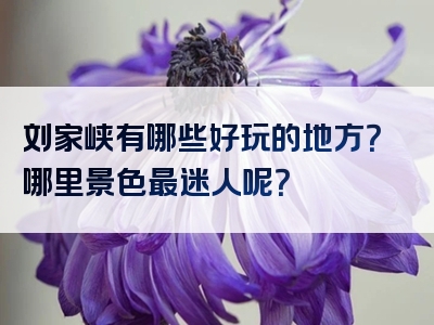 刘家峡有哪些好玩的地方？哪里景色最迷人呢？