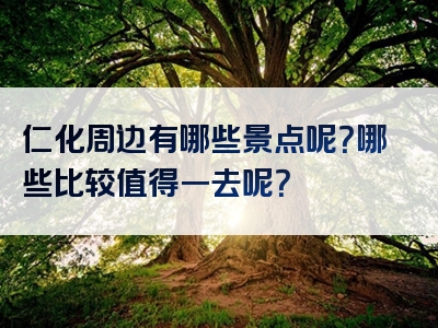 仁化周边有哪些景点呢？哪些比较值得一去呢？