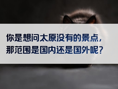 你是想问太原没有的景点，那范围是国内还是国外呢？