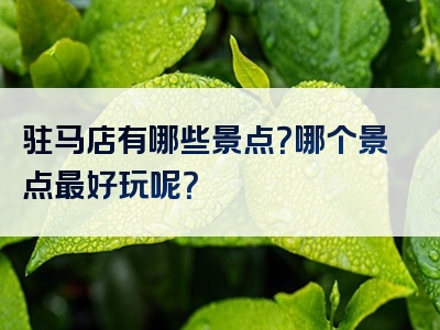 驻马店有哪些景点？哪个景点最好玩呢？