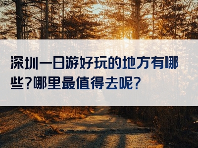 深圳一日游好玩的地方有哪些？哪里最值得去呢？