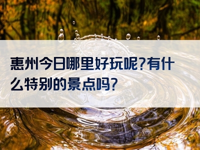 惠州今日哪里好玩呢？有什么特别的景点吗？