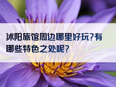 沭阳旅馆周边哪里好玩？有哪些特色之处呢？