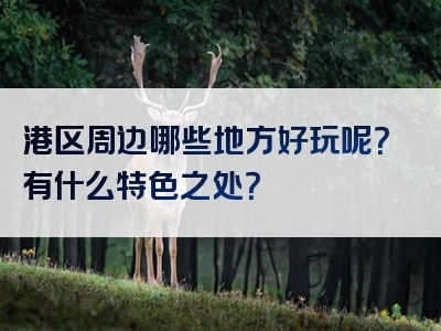 港区周边哪些地方好玩呢？有什么特色之处？
