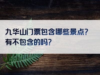 九华山门票包含哪些景点？有不包含的吗？