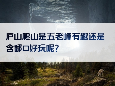 庐山爬山是五老峰有趣还是含鄱口好玩呢？