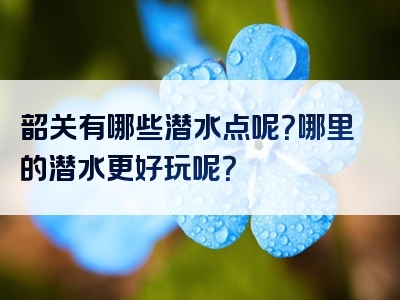韶关有哪些潜水点呢？哪里的潜水更好玩呢？