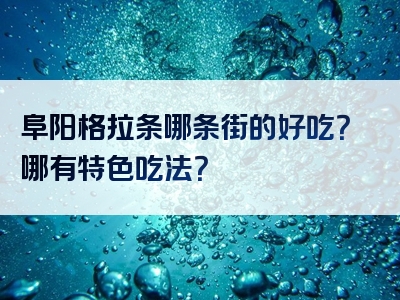 阜阳格拉条哪条街的好吃？哪有特色吃法？