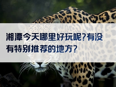 湘潭今天哪里好玩呢？有没有特别推荐的地方？