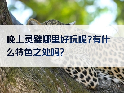 晚上灵璧哪里好玩呢？有什么特色之处吗？