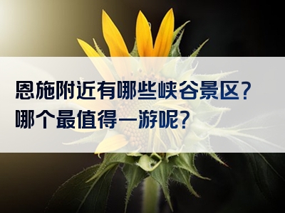 恩施附近有哪些峡谷景区？哪个最值得一游呢？