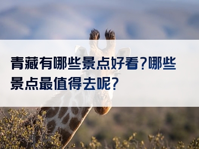 青藏有哪些景点好看？哪些景点最值得去呢？