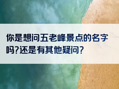你是想问五老峰景点的名字吗？还是有其他疑问？
