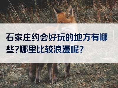 石家庄约会好玩的地方有哪些？哪里比较浪漫呢？