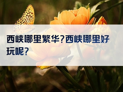 西峡哪里繁华？西峡哪里好玩呢？