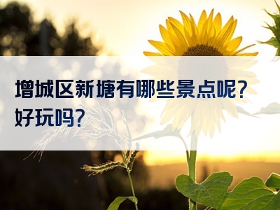 增城区新塘有哪些景点呢？好玩吗？