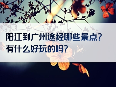 阳江到广州途经哪些景点？有什么好玩的吗？