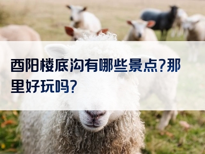 酉阳楼底沟有哪些景点？那里好玩吗？