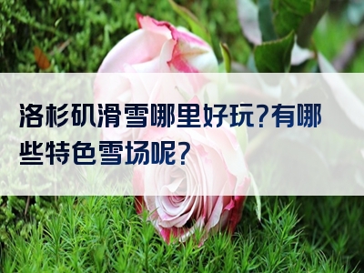 洛杉矶滑雪哪里好玩？有哪些特色雪场呢？