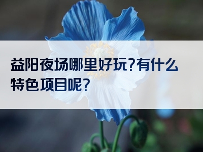 益阳夜场哪里好玩？有什么特色项目呢？