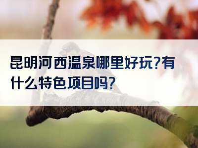 昆明河西温泉哪里好玩？有什么特色项目吗？