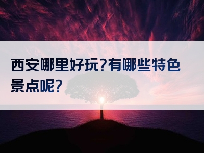 西安哪里好玩？有哪些特色景点呢？