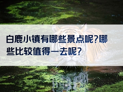 白鹿小镇有哪些景点呢？哪些比较值得一去呢？
