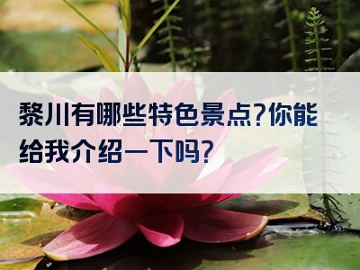 黎川有哪些特色景点？你能给我介绍一下吗？