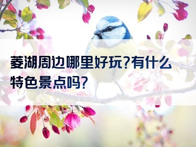 菱湖周边哪里好玩？有什么特色景点吗？
