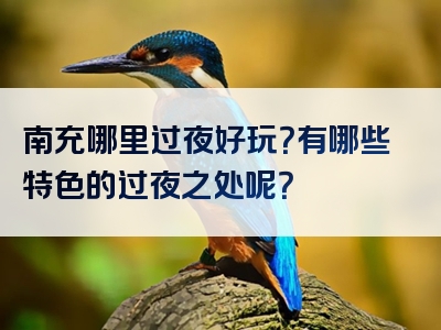 南充哪里过夜好玩？有哪些特色的过夜之处呢？