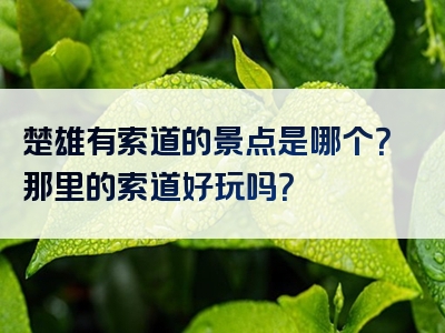 楚雄有索道的景点是哪个？那里的索道好玩吗？