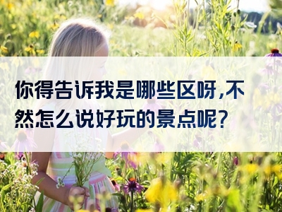 你得告诉我是哪些区呀，不然怎么说好玩的景点呢？