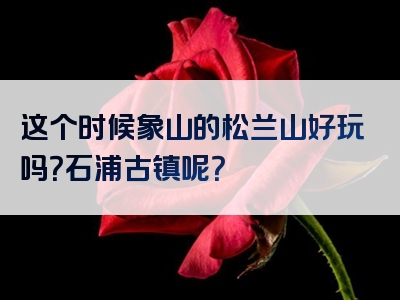 这个时候象山的松兰山好玩吗？石浦古镇呢？